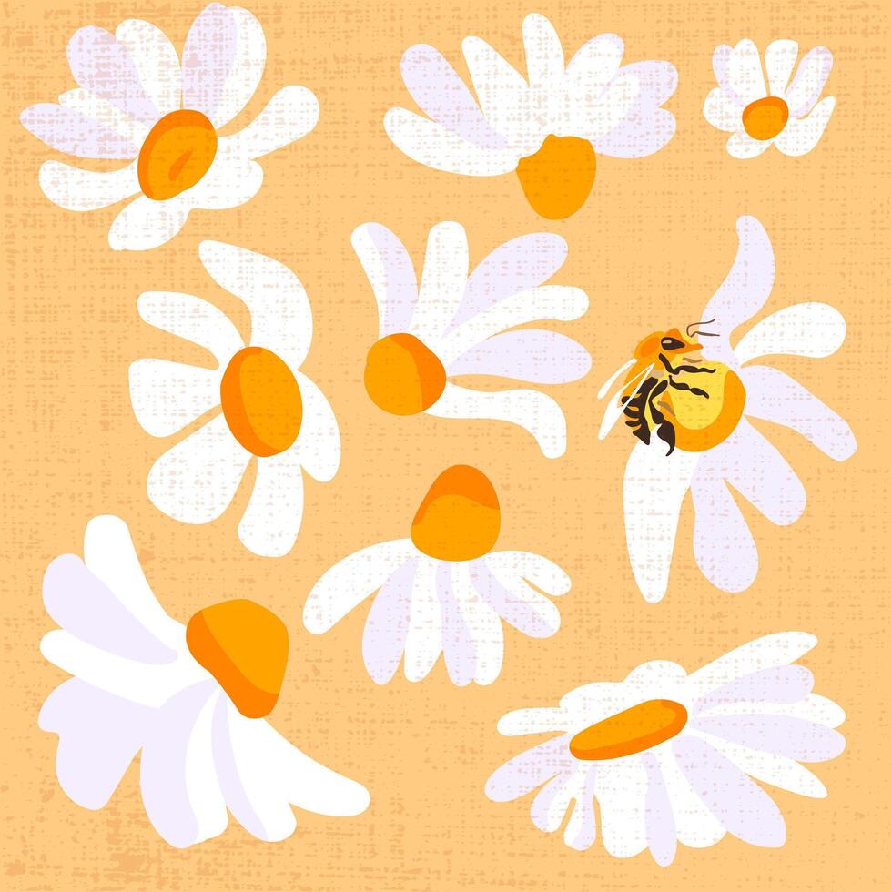 Summer yellow daisy bee background. Insect white flowers decorative seamless design. Square postcard template Flat vector