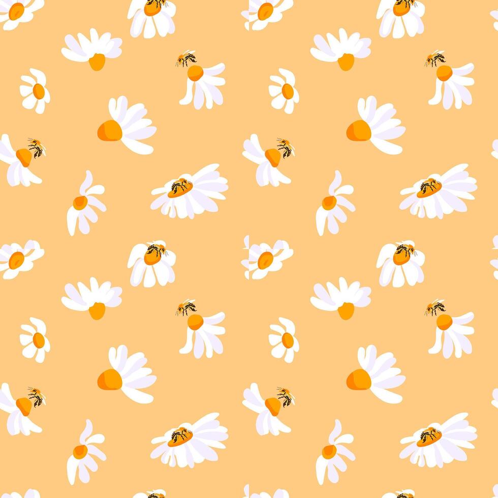 Summer pattern daisy bee yellow background. Insect white flowers decorative seamless design. Square postcard template vector