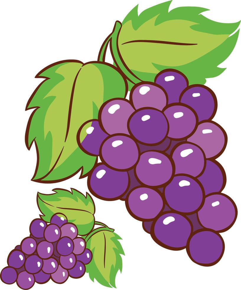 Grapes art illustration design vector