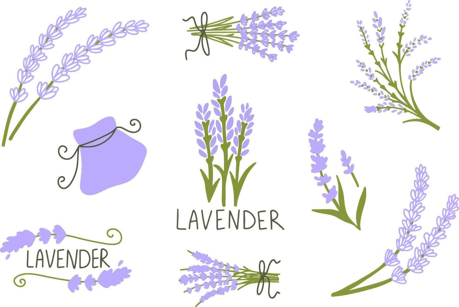 Set of differents lavender on white background. outline illustration vector