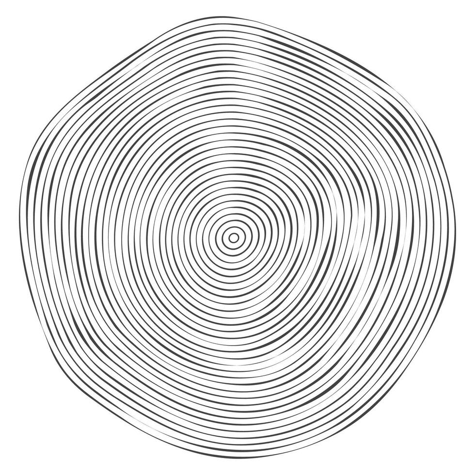 Wooden topography circles. Wood organic slice line design. Line ripple circle wood texture. Tree cut vector