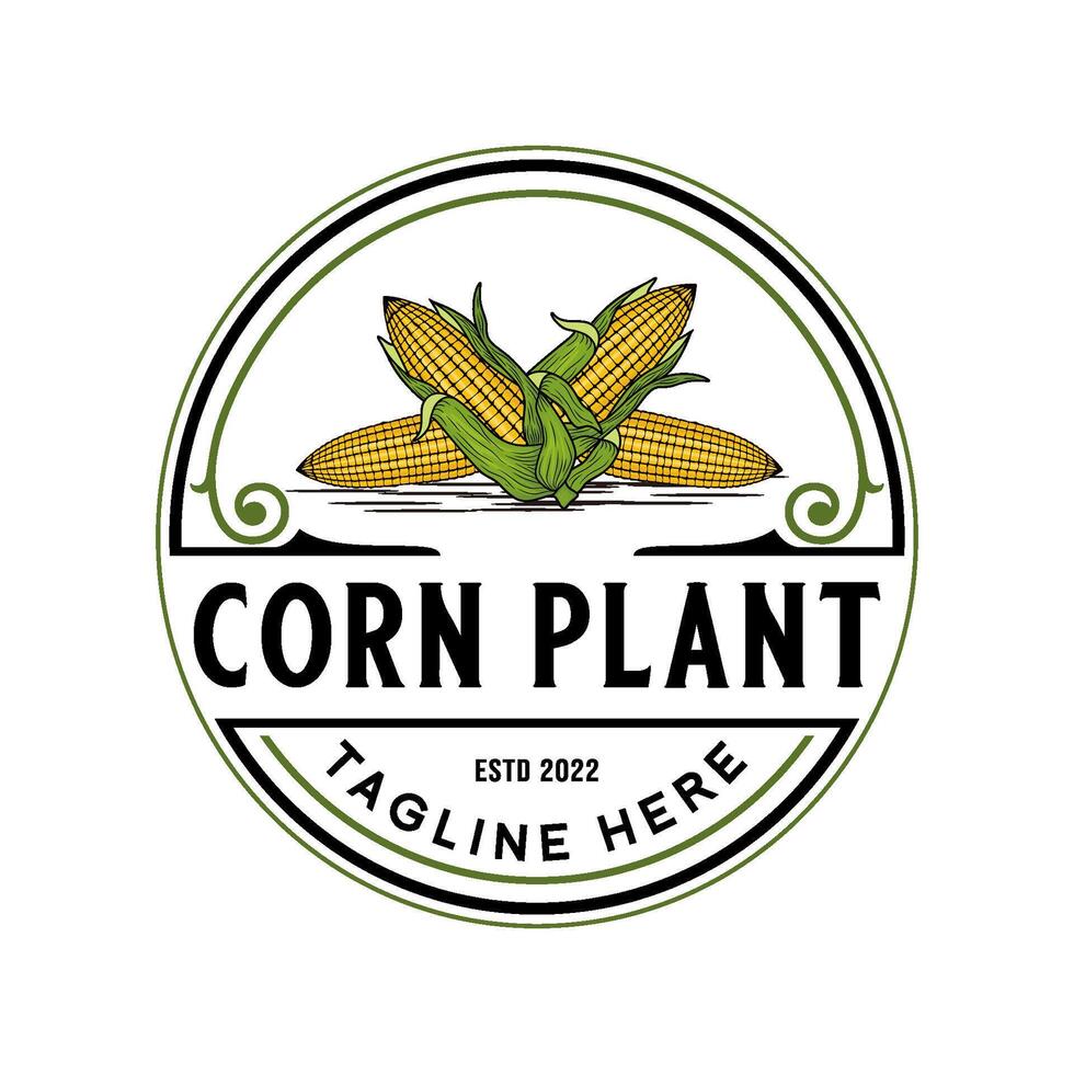 corn logo. vintage corn for corn farming or business vector