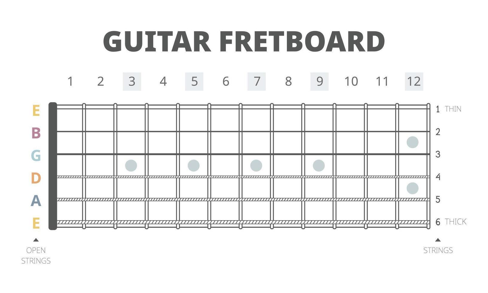 Guitar fretboard chart illustration. Guitar neck map with frets and six strings from the thickest to the thinnest. Guitar chart for beginners to learn about fretboard and strings on the guitar vector