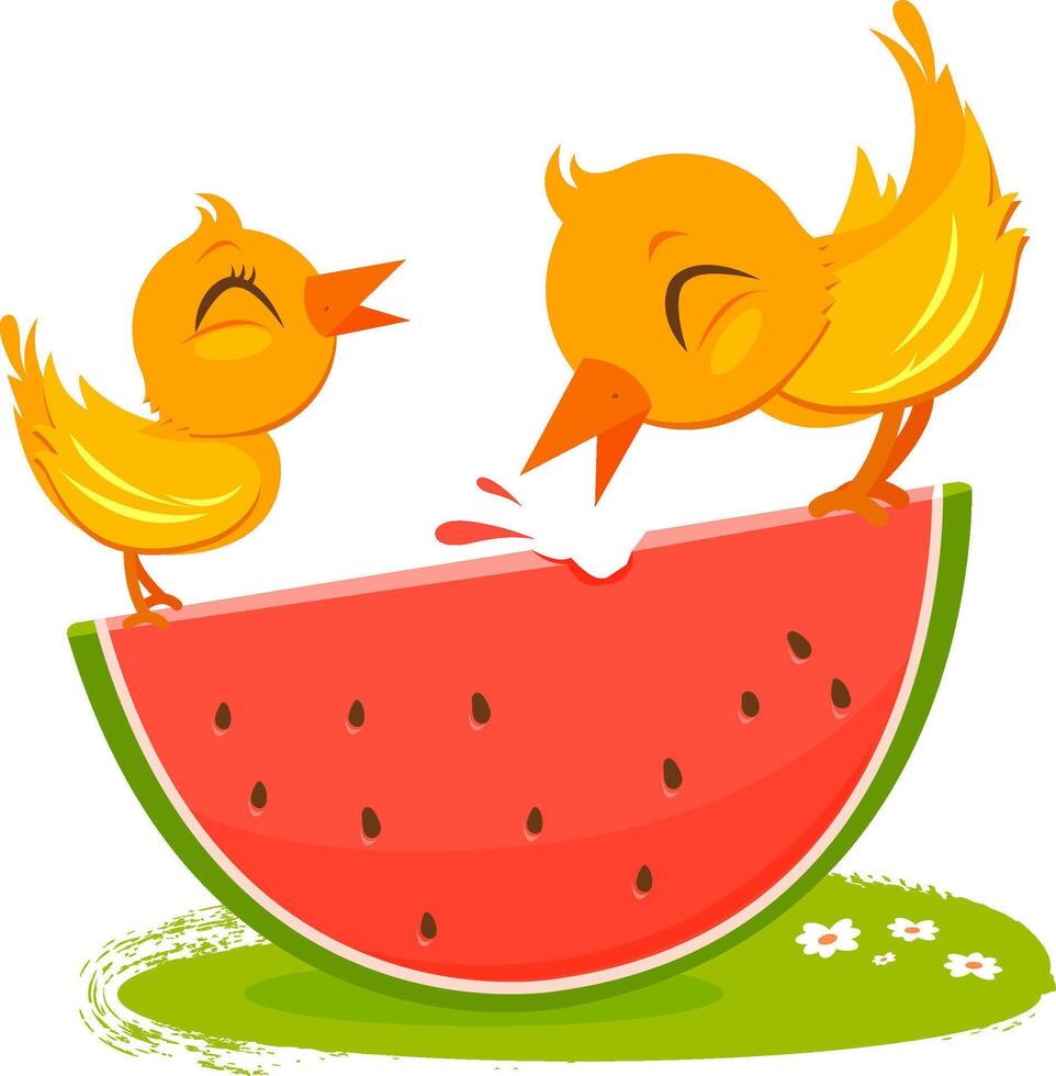 linda pequeño amarillo aves en verano comer y compartir un sandía fruta. dos aves comiendo un rebanada de sandía. vector