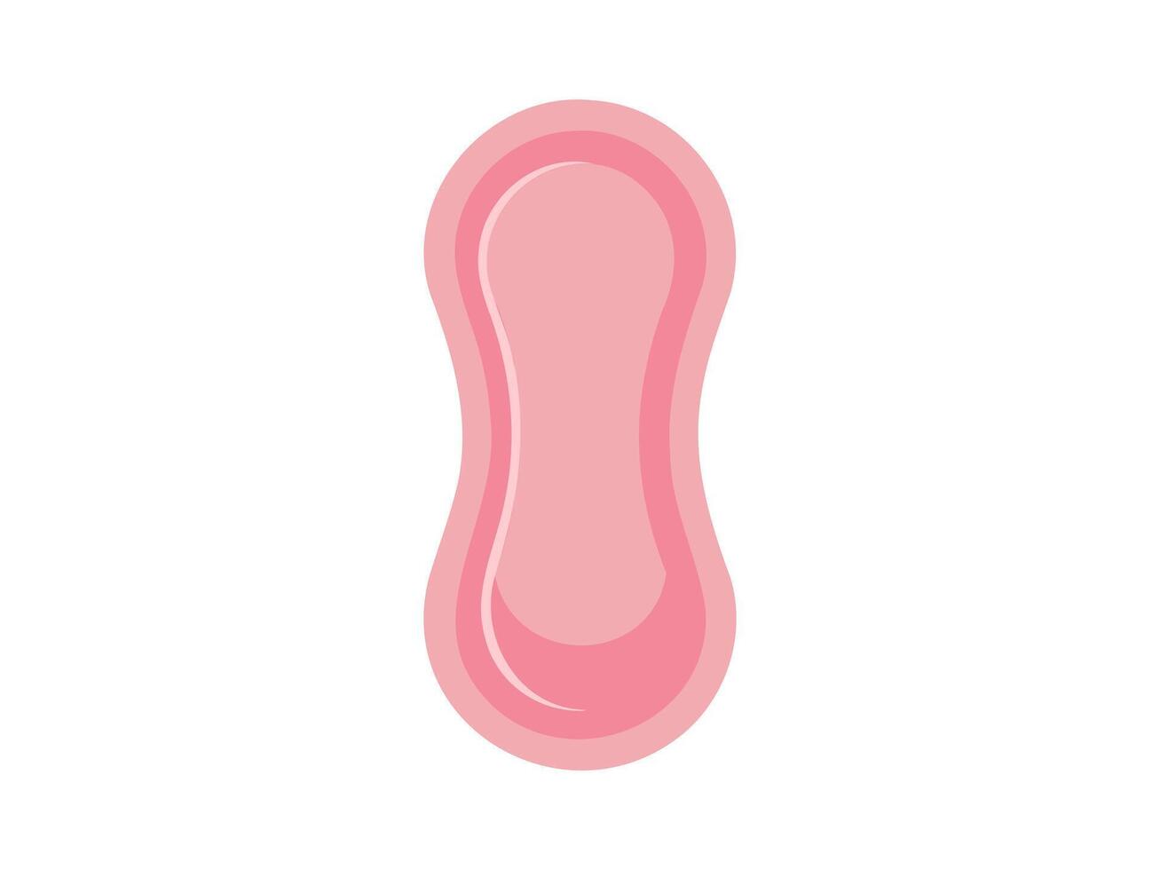 rosado diario transatlántico. bragas transatlántico ilustración. diario femenino higiene almohadilla. suave sanitario transatlántico aislado en blanco fondo concepto de diario femenino cuidado, ligero proteccion, y íntimo higiene vector