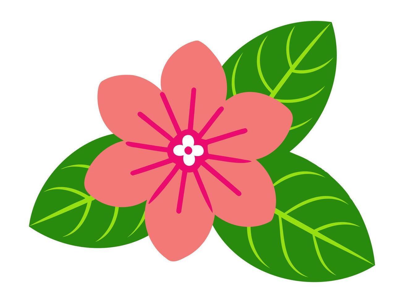 Simple illustration of pink flower with green leaves. Flat design of blooming flower. Concept of spring, nature simplicity, botanical illustration, environmental themes. Isolated on white background. vector