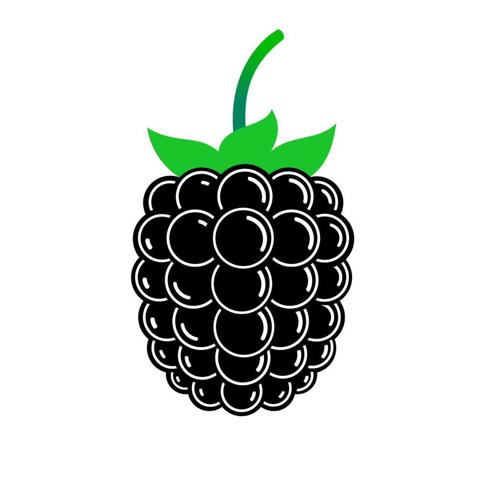 Shiny blackberry. Flat color illustration isolated on white. vector