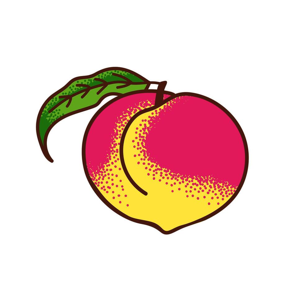 Ripe peach with a leaf. Color textured illustration on white background. vector