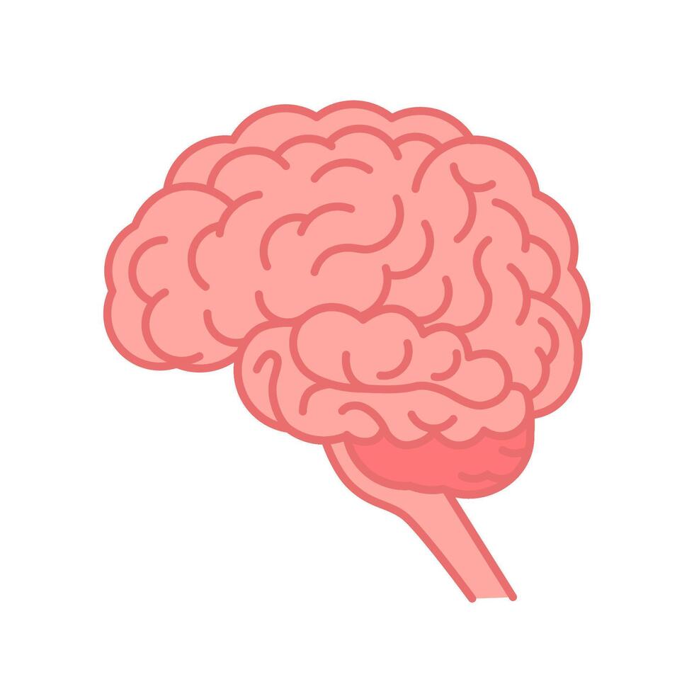 Human brain graphic illustration. Flat isolated. vector