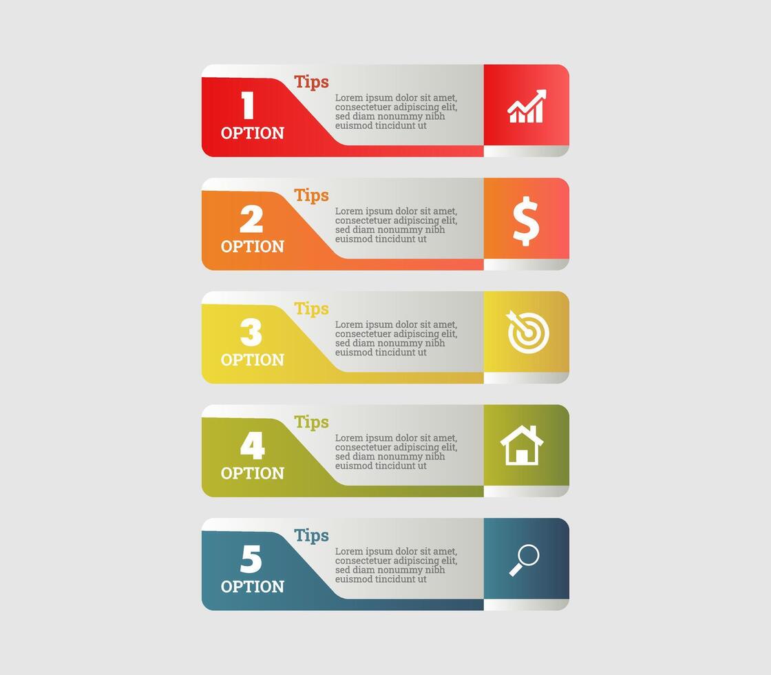 four options for business infographic design vector