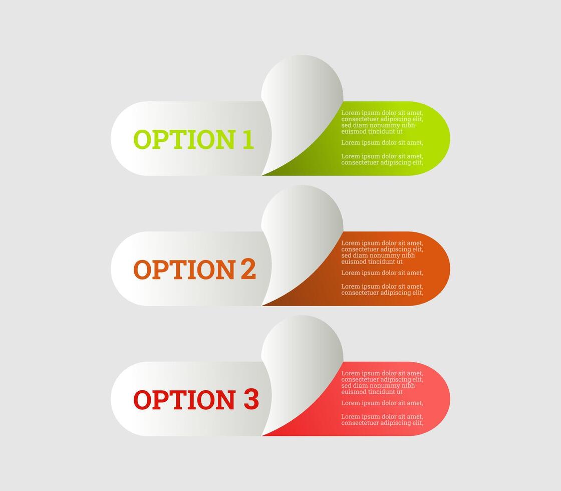 four options for business infographic design vector