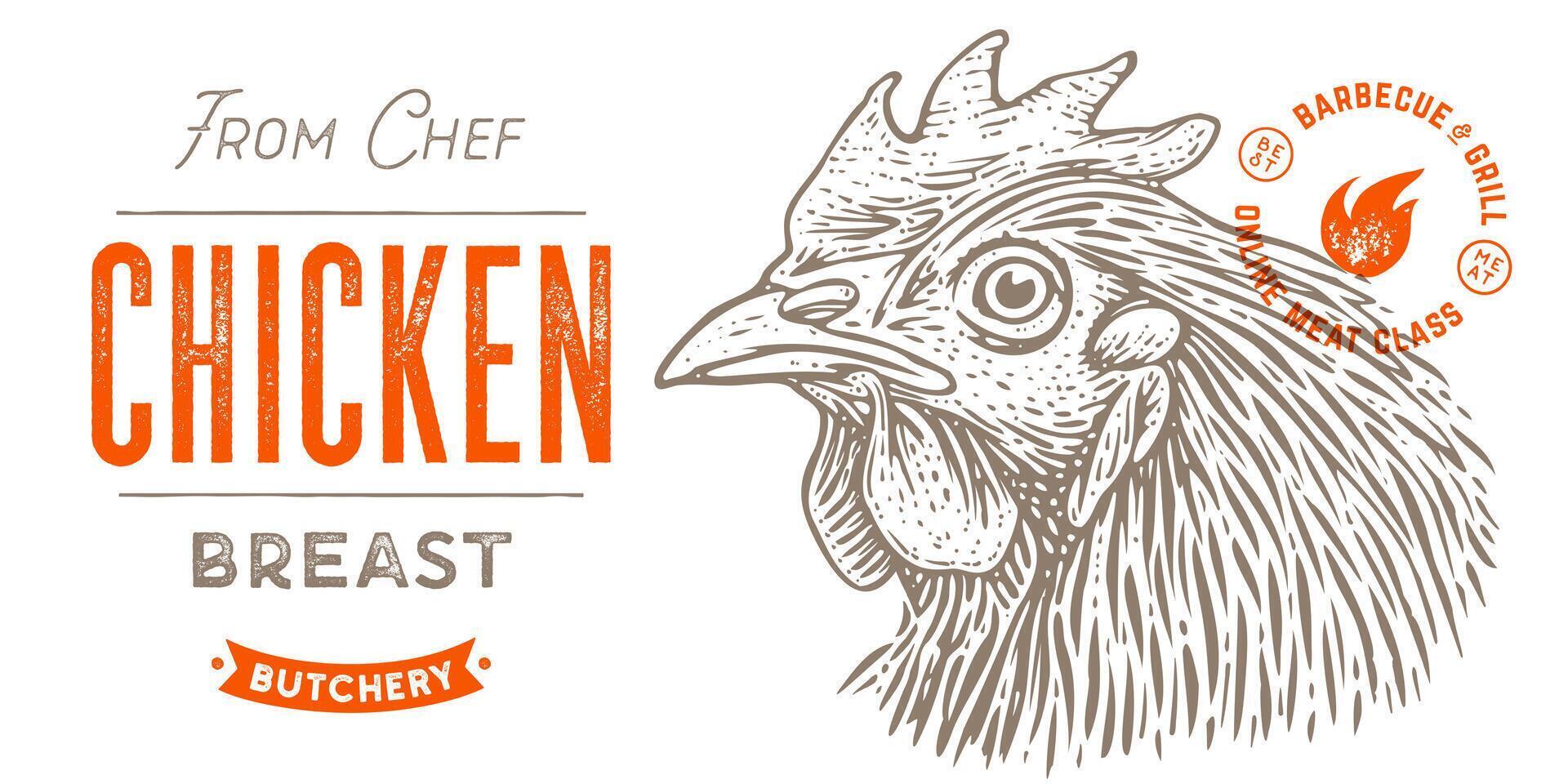 Chicken, hen head. Vintage retro print vector