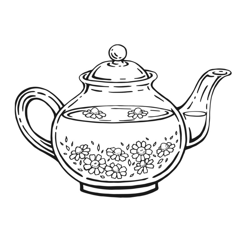Teapot of tea with healthy tea, chamomile. Hand drawn illustration. vector