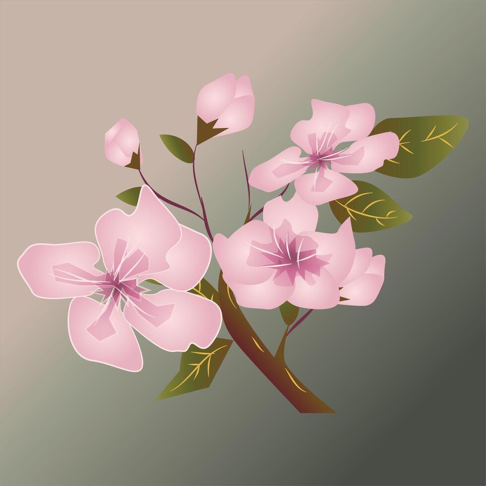 Pink Cherry Blossom Flower Illustration vector