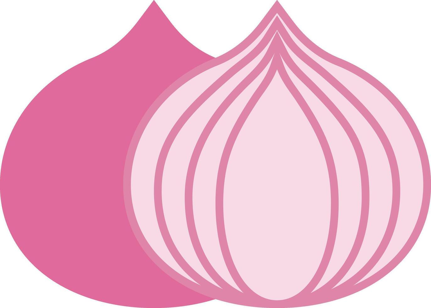 onion illustration design, art and creativity vector