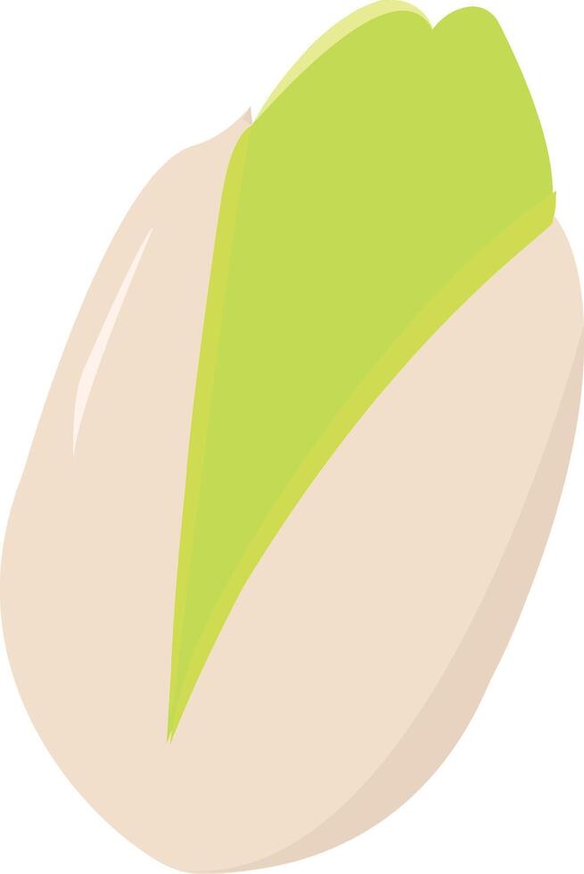 pistachio illustration design, art and creativity vector