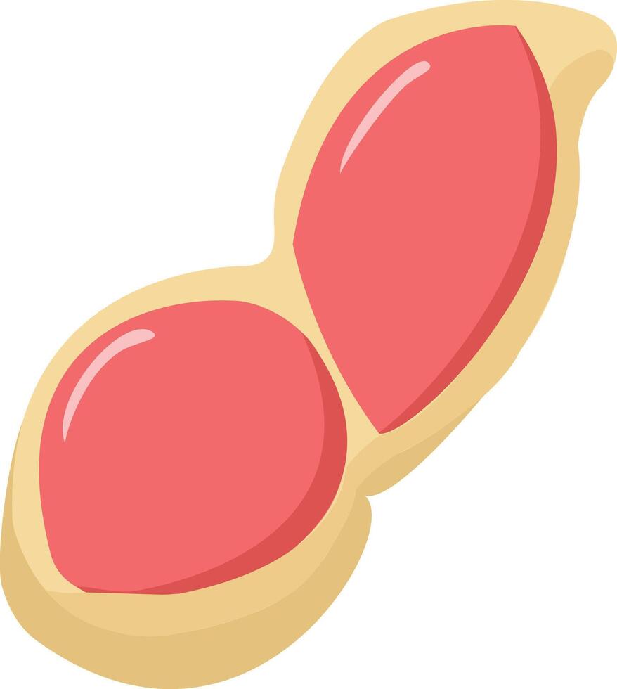 peanut illustration design, art and creativity vector