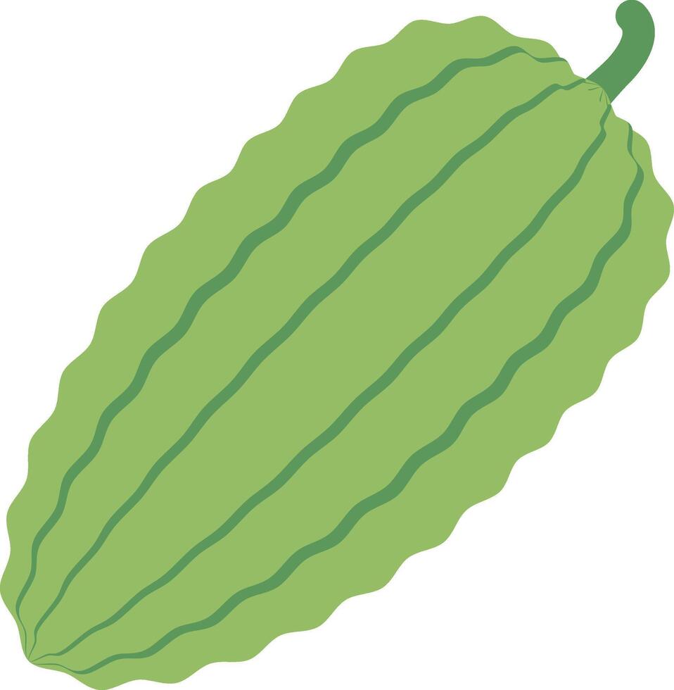 balsam pear illustration design, art and creativity vector