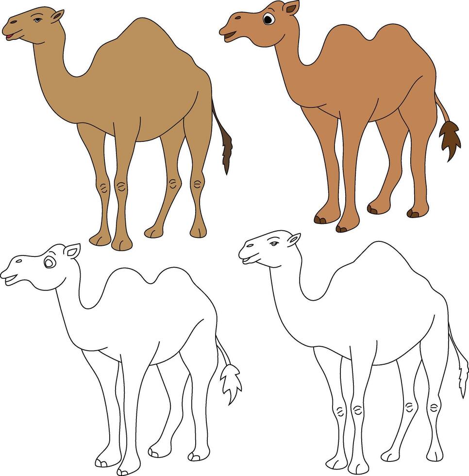 Camel Clipart. Wild Animals clipart collection for lovers of jungles and wildlife. This set will be a perfect addition to your safari and zoo-themed projects. vector