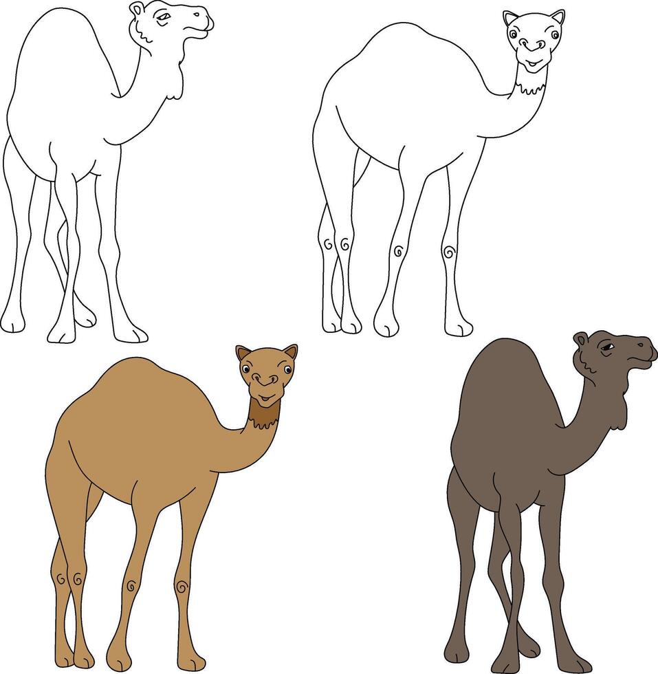 Camel Clipart. Wild Animals clipart collection for lovers of jungles and wildlife. This set will be a perfect addition to your safari and zoo-themed projects. vector