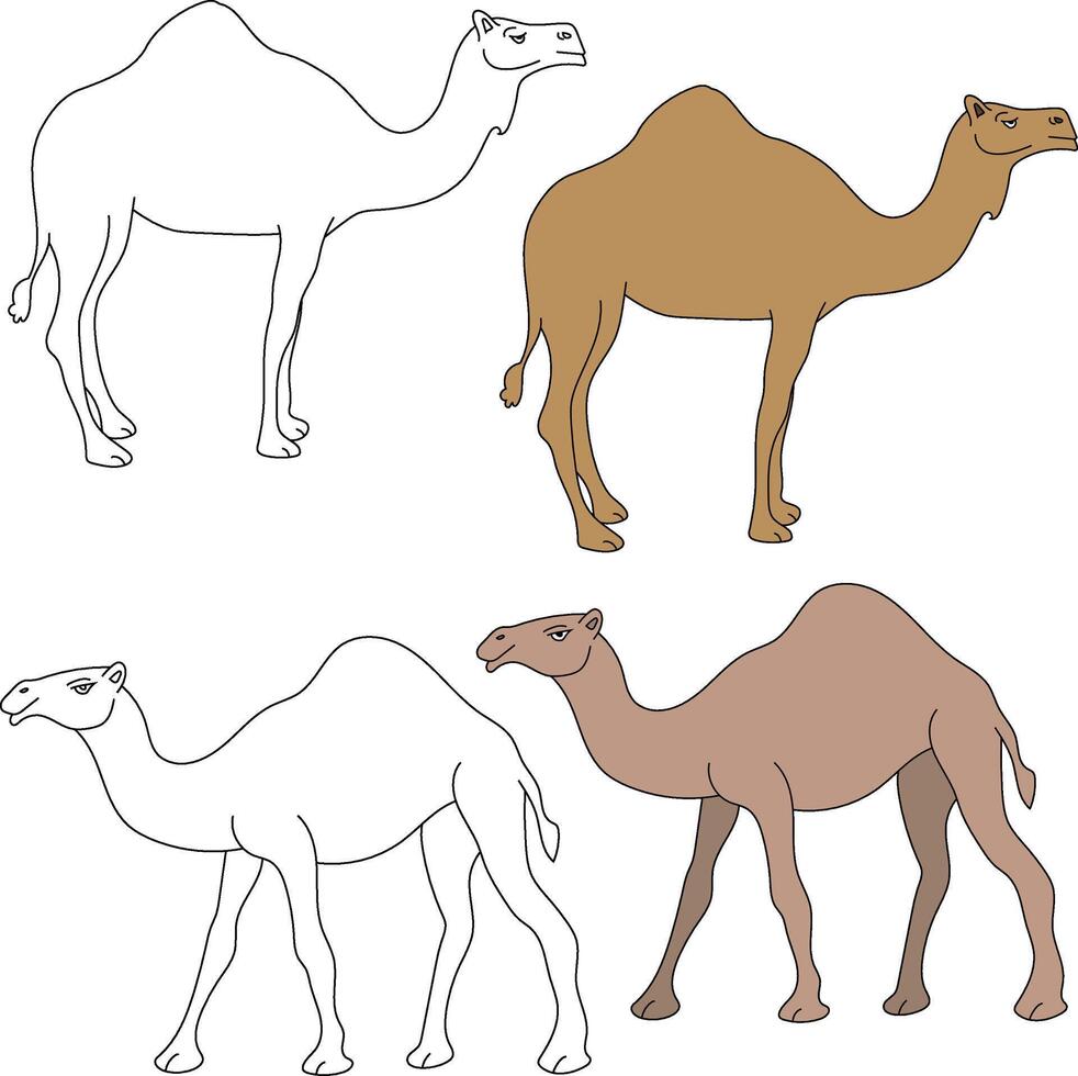 Camel Clipart. Wild Animals clipart collection for lovers of jungles and wildlife. This set will be a perfect addition to your safari and zoo-themed projects. vector