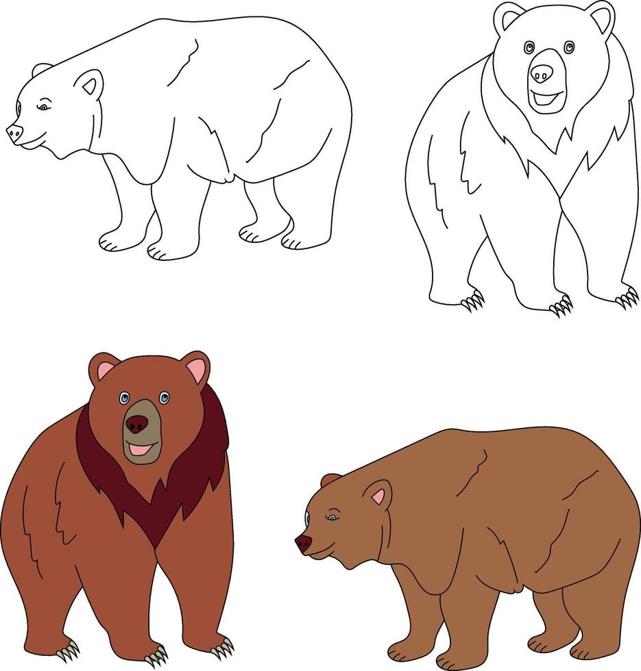 Bear Clipart. Wild Animals clipart collection for lovers of jungles and wildlife. This set will be a perfect addition to your safari and zoo-themed projects. vector