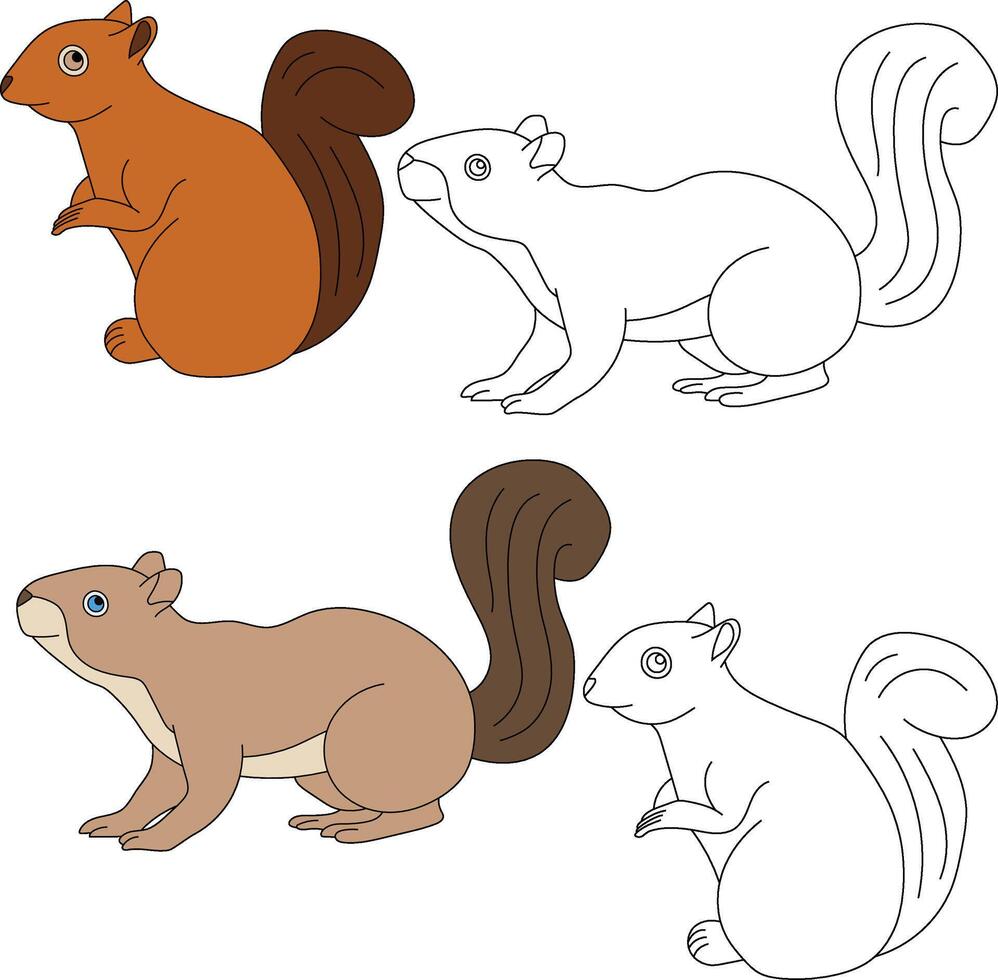 Squirrel Clipart. Wild Animals clipart collection for lovers of jungles and wildlife. This set will be a perfect addition to your safari and zoo-themed projects. vector