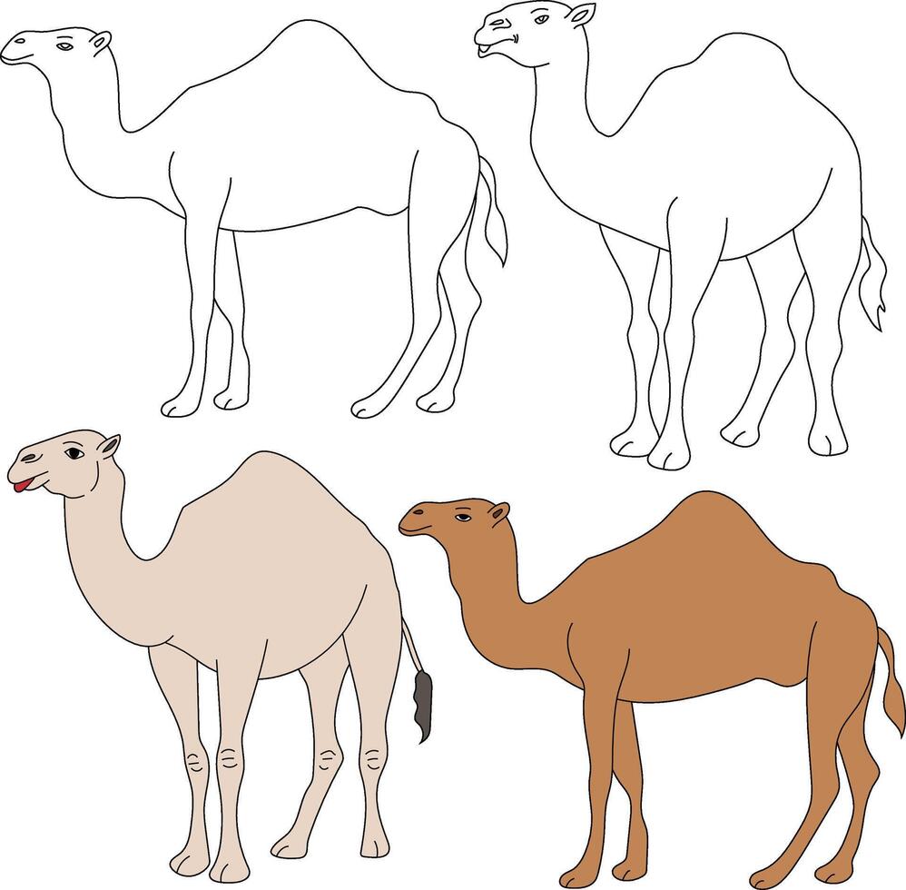 Camel Clipart. Wild Animals clipart collection for lovers of jungles and wildlife. This set will be a perfect addition to your safari and zoo-themed projects. vector