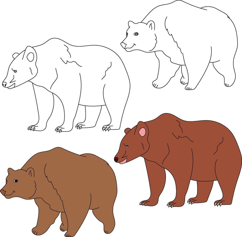 oso clipart. salvaje animales clipart colección para amantes de selvas y fauna silvestre. esta conjunto será ser un Perfecto adición a tu safari y temática del zoológico proyectos vector