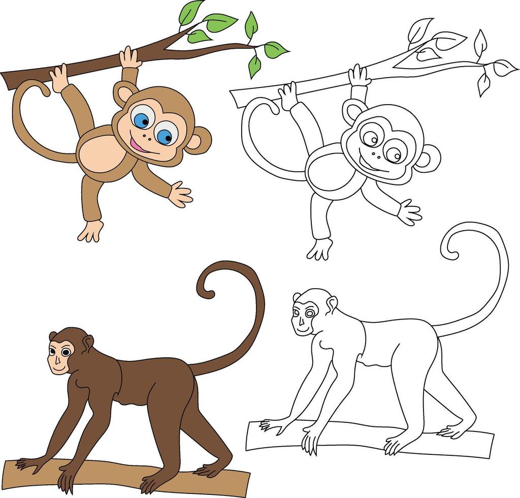 Monkey Clipart. Wild Animals clipart collection for lovers of jungles and wildlife. This set will be a perfect addition to your safari and zoo-themed projects. vector