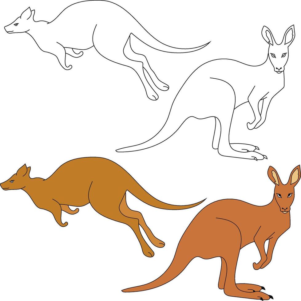 Kangaroo Clipart. Wild Animals clipart collection for lovers of jungles and wildlife. This set will be a perfect addition to your safari and zoo-themed projects. vector