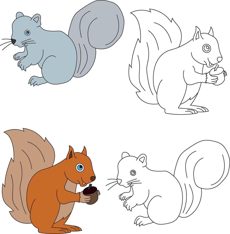 Squirrel Clipart. Wild Animals clipart collection for lovers of jungles and wildlife. This set will be a perfect addition to your safari and zoo-themed projects. vector