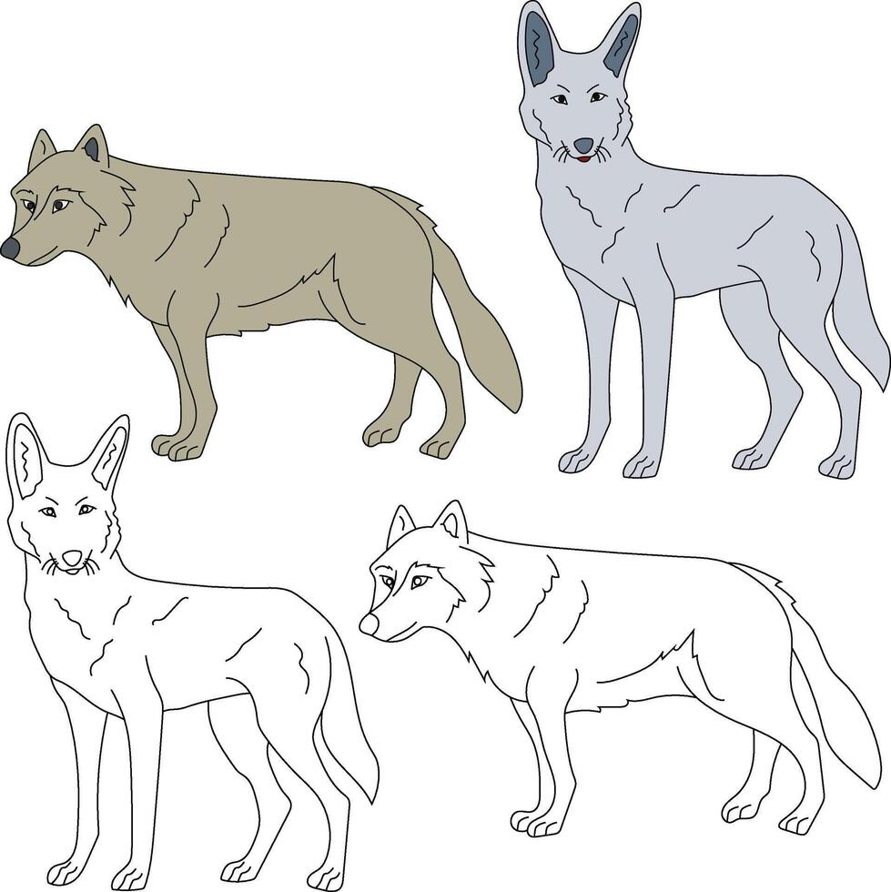 Wolf Clipart. Wild Animals clipart collection for lovers of jungles and wildlife. This set will be a perfect addition to your safari and zoo-themed projects. vector