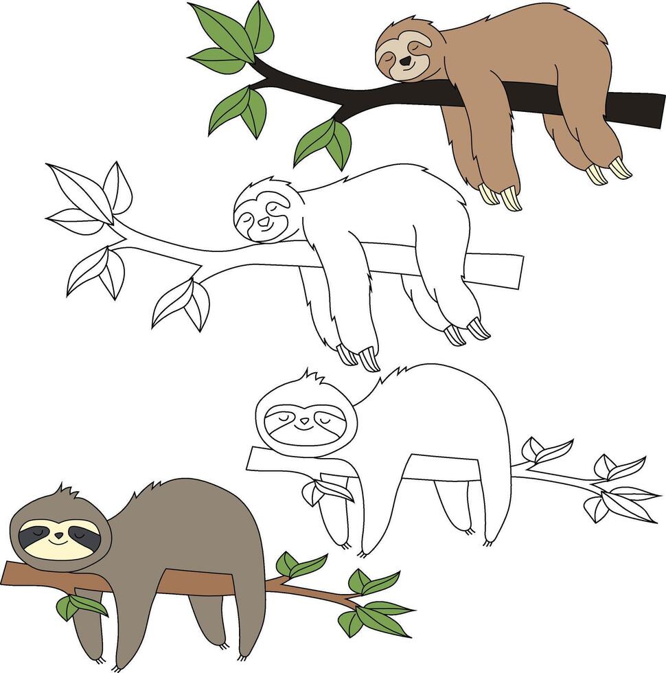 Sloth Clipart. Wild Animals clipart collection for lovers of jungles and wildlife. This set will be a perfect addition to your safari and zoo-themed projects. vector