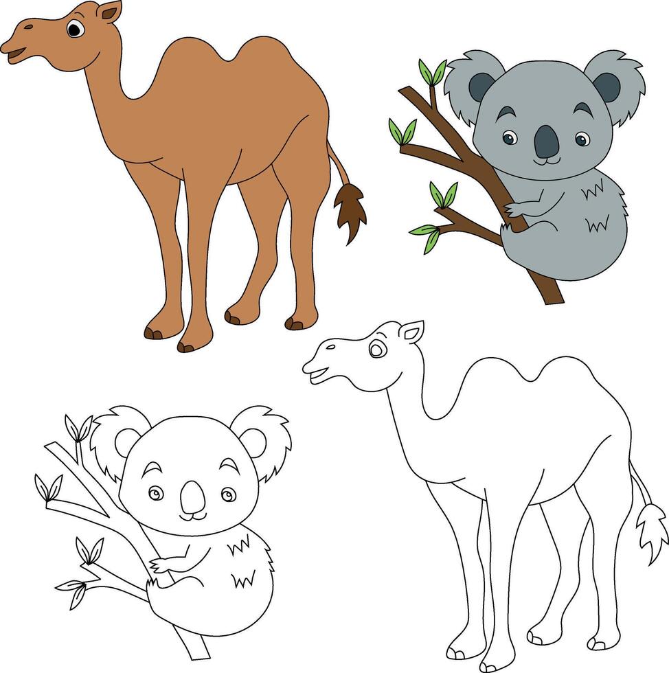 camello y coala clipart. salvaje animales clipart colección para amantes de selvas y fauna silvestre. esta conjunto será ser un Perfecto adición a tu safari y temática del zoológico proyectos vector