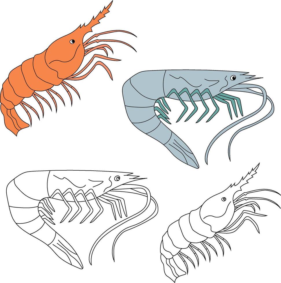 Shrimp Clipart. Aquatic Animal Clipart for Lovers of Underwater Sea Animals, Marine Life, and Sea Life vector
