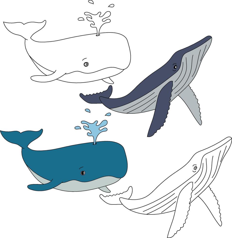 Whale Clipart. Aquatic Animal Clipart for Lovers of Underwater Sea Animals, Marine Life, and Sea Life vector