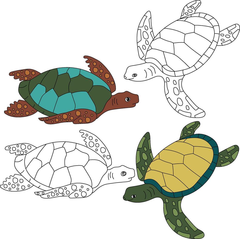 Sea Turtle Clipart. Aquatic Animal Clipart for Lovers of Underwater Sea Animals, Marine Life, and Sea Life vector