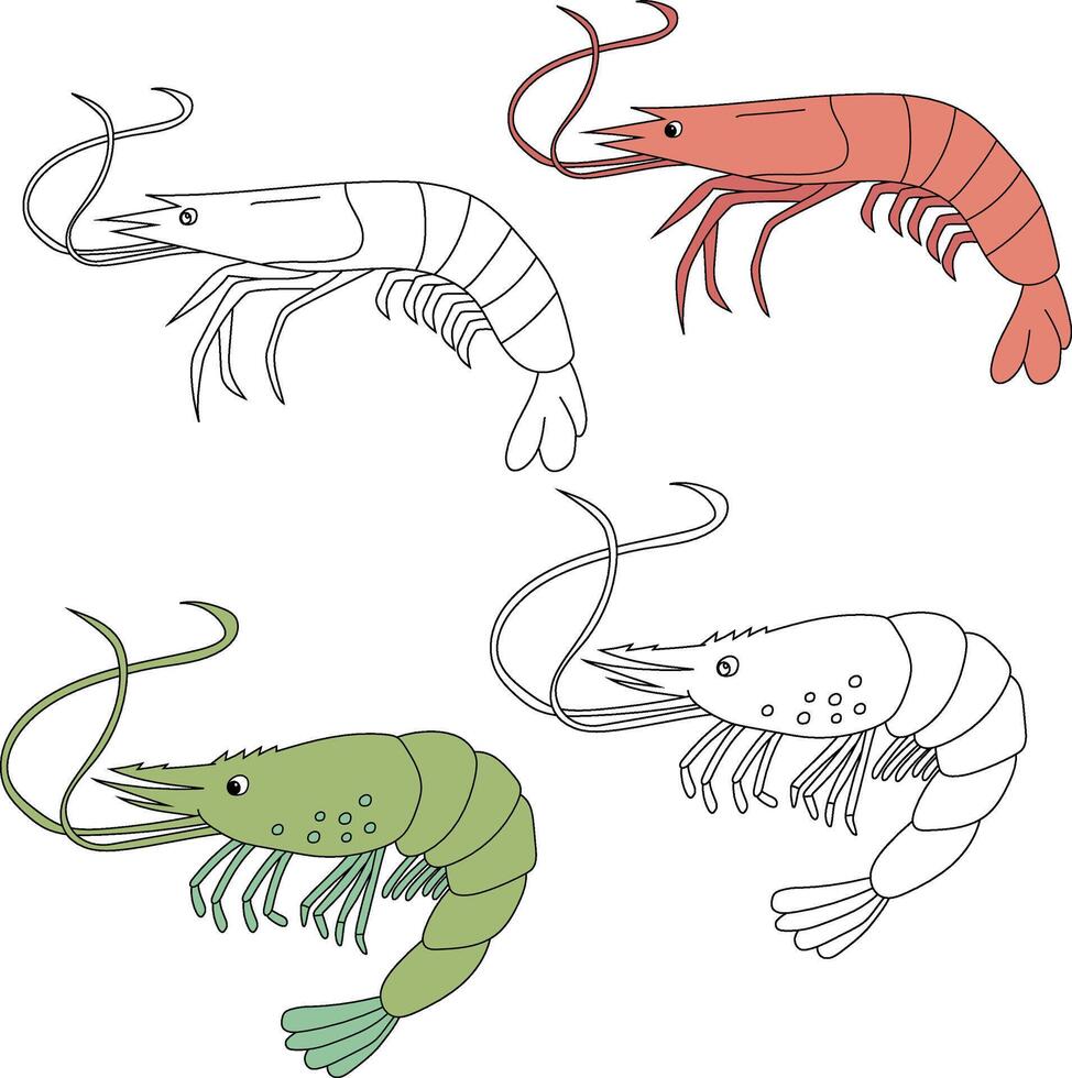 Shrimp Clipart. Aquatic Animal Clipart for Lovers of Underwater Sea Animals, Marine Life, and Sea Life vector