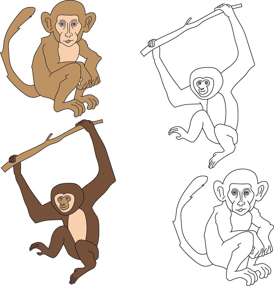 Monkey Clipart. Wild Animals clipart collection for lovers of jungles and wildlife. This set will be a perfect addition to your safari and zoo-themed projects. vector