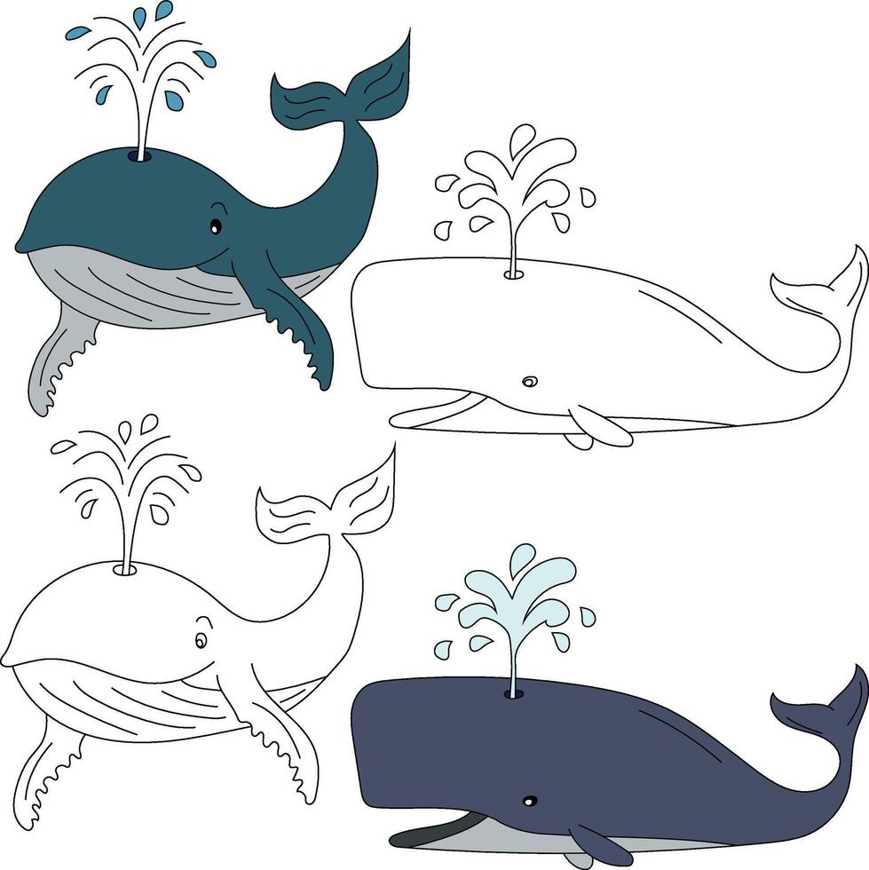 Whale Clipart. Aquatic Animal Clipart for Lovers of Underwater Sea Animals, Marine Life, and Sea Life vector