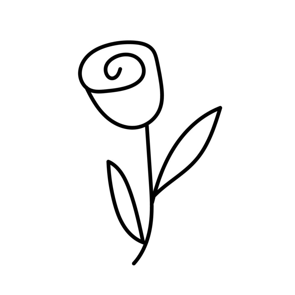 Rose in doodle style. Isolated on white background vector