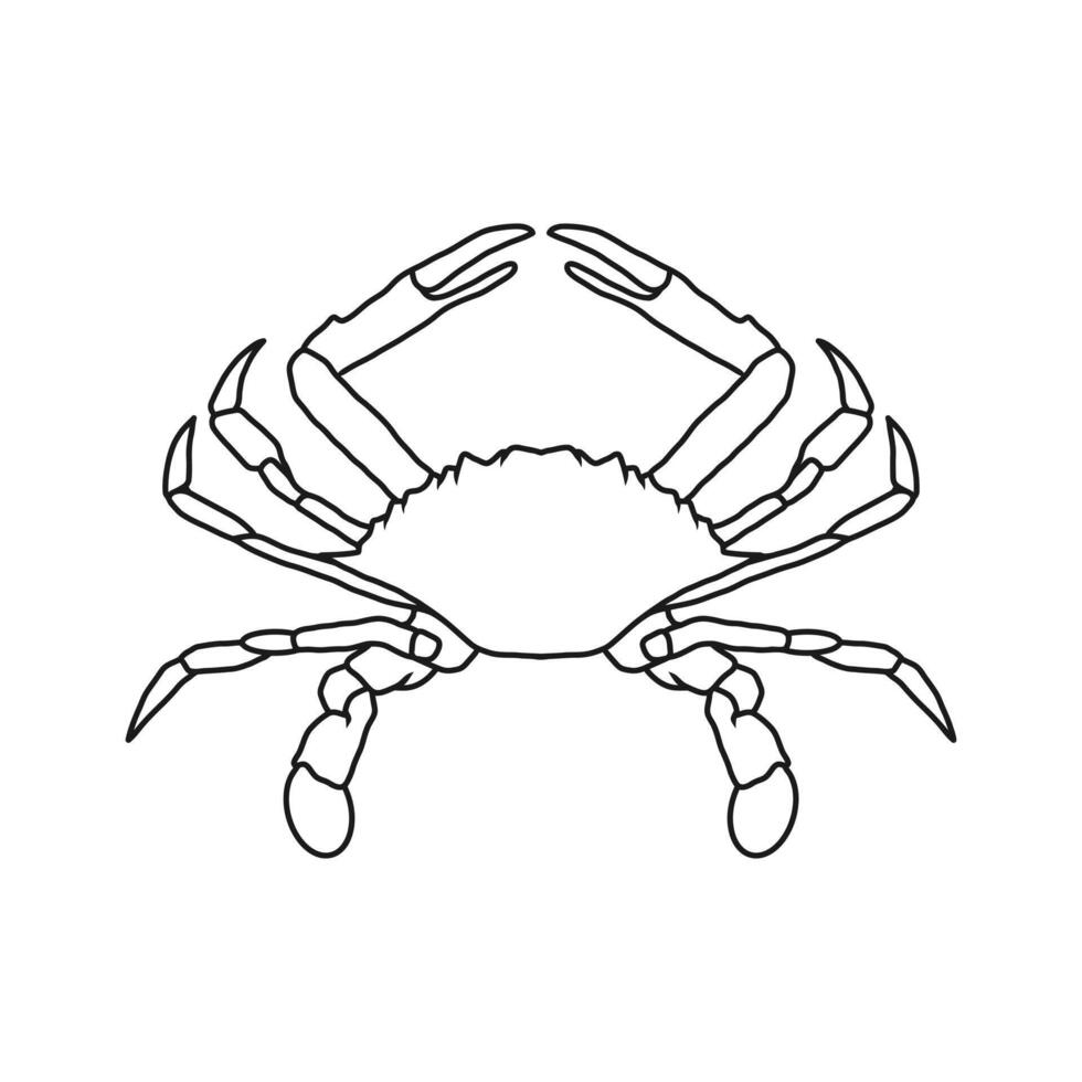 crab outline illustration. Seafood shop logo branding template for craft food packaging or restaurant design. vector