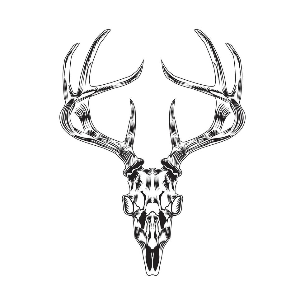 hutting deer skull black and white vector