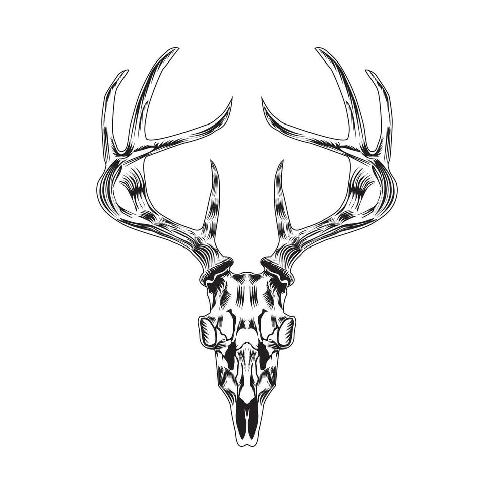 hutting deer skull black and white vector