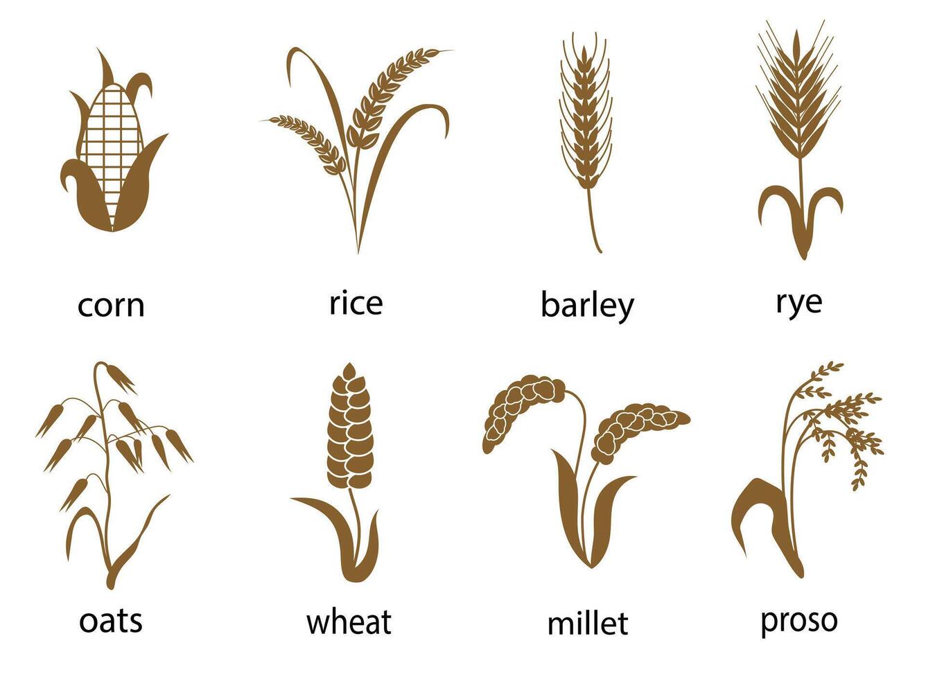 Icon set of cereals with rice, rye, wheat, corn, oats, barley, millet. The concept of marking organic products, agriculture, grain, bakery products, healthy food. vector