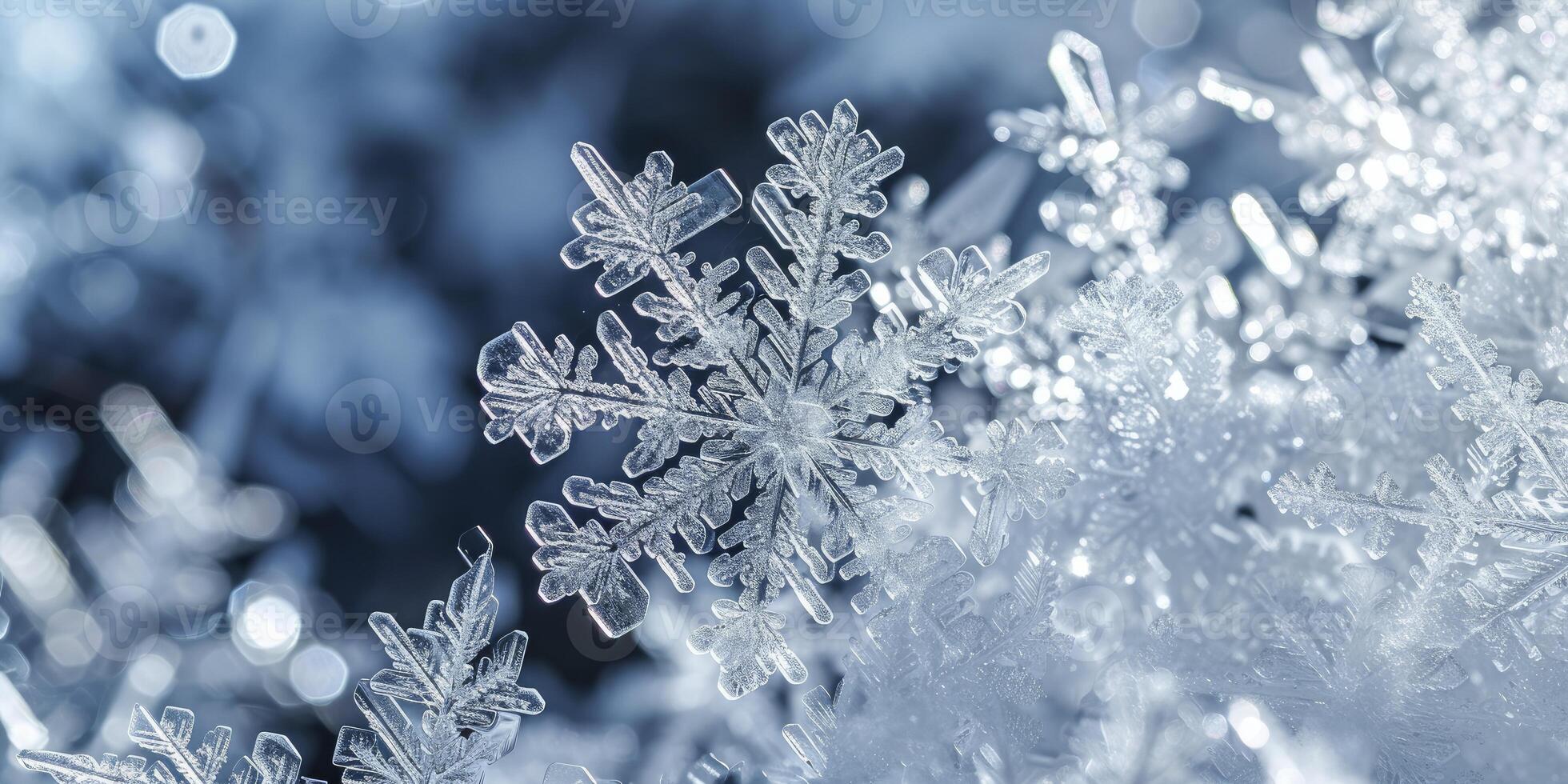 Snowflakes Crystalline Structures. Magic and Beauty of Winter's Frozen. Copy Space. photo