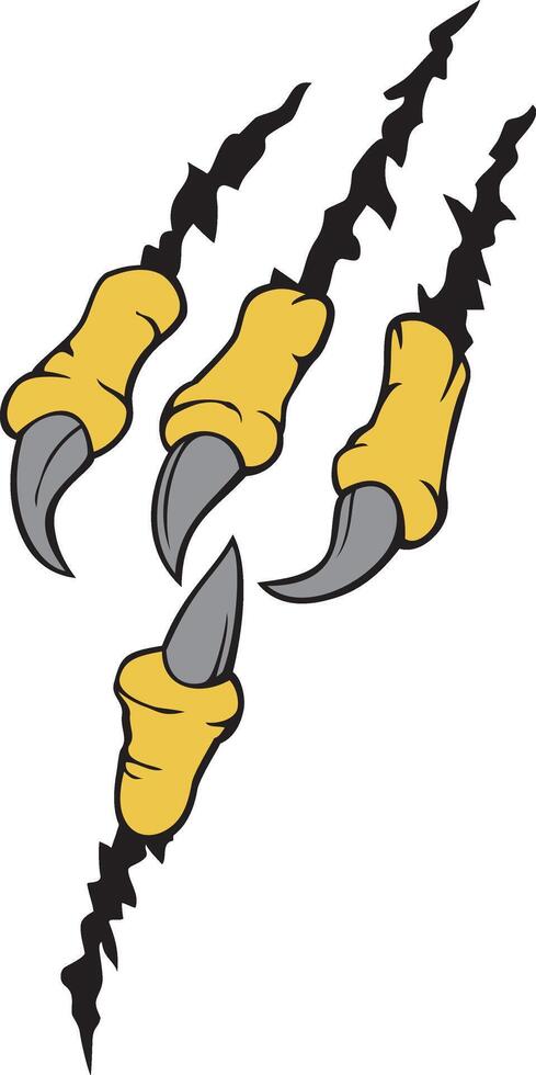 Eagle Claw Color Illustration. vector