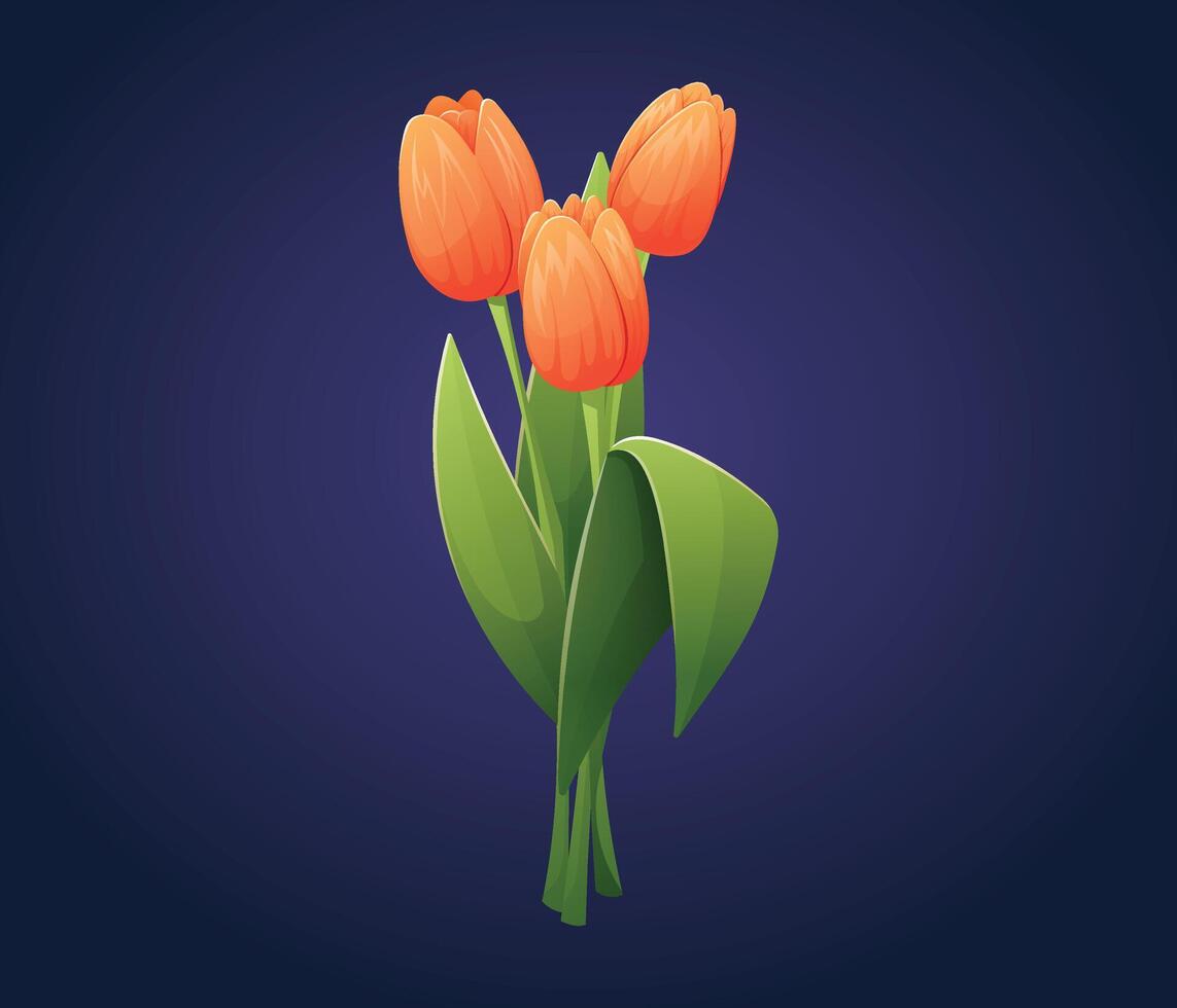 Bouquet of three beautiful orange tulip flowers. isolated cartoon flower illustration. vector