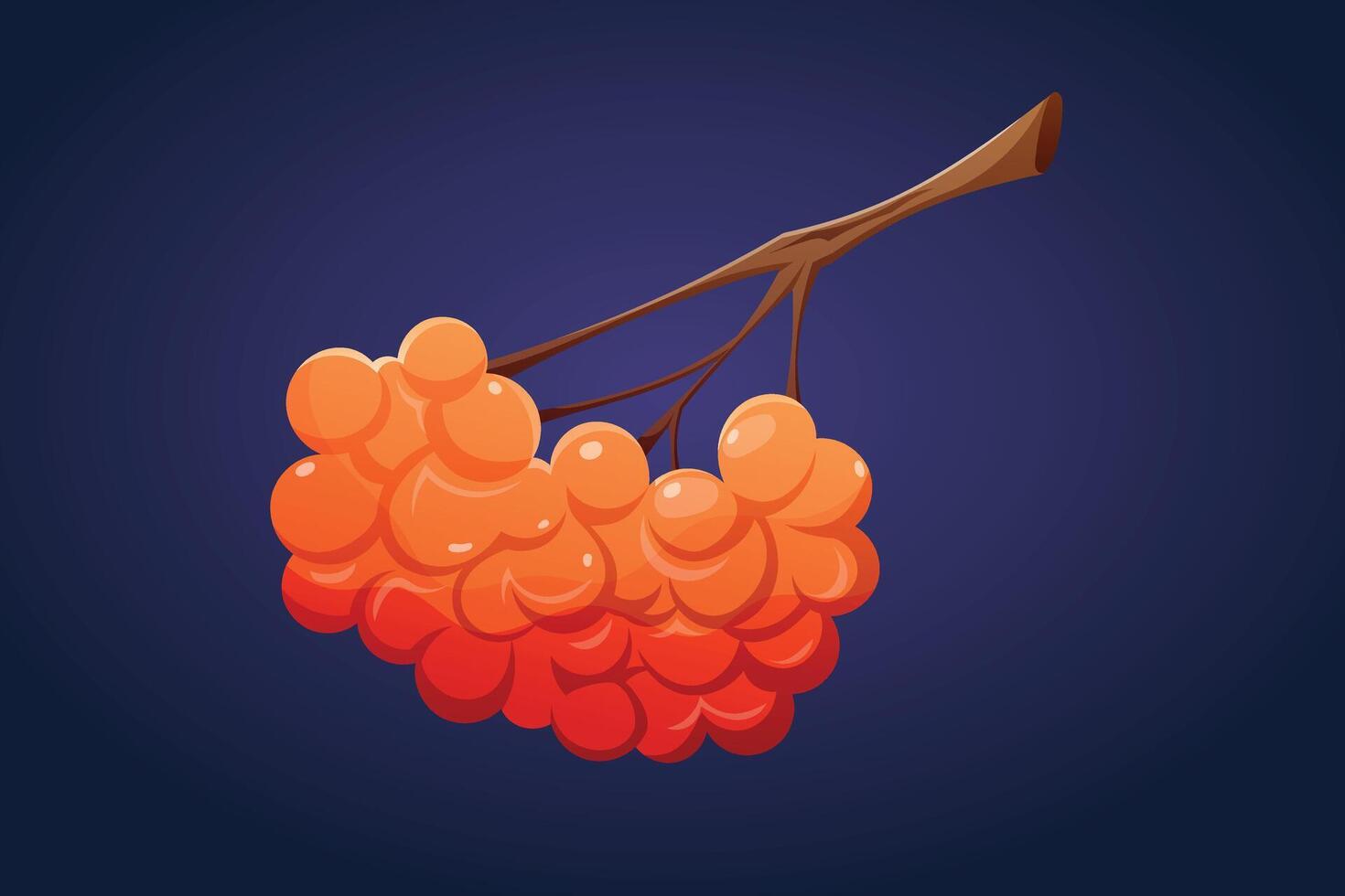 A twig with ripe bright orange rowan berries. isolated cartoon seasonal autumn illustration. vector